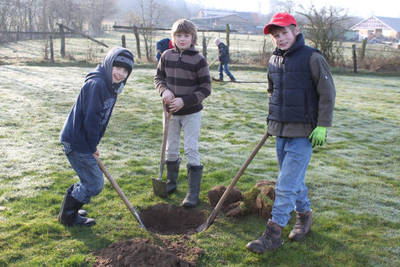 Drei Schüler pflanzen Obstbäume